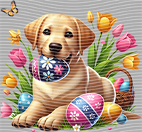 Easter-FHJ 558